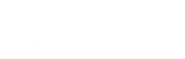 logo weiß